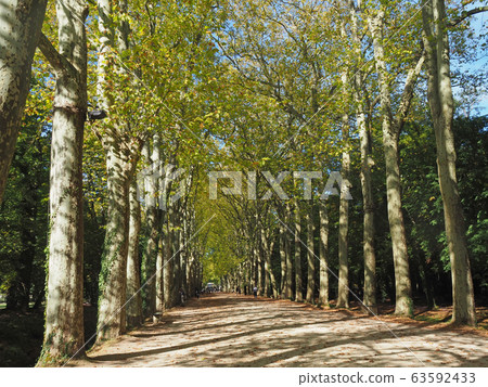 French castle of Loire Chenonceau castle 63592433