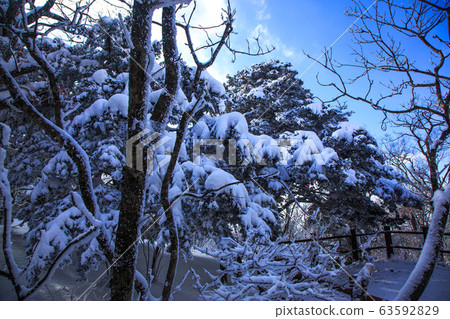 雪山小道,雪景,下雪天的雪花... ^。^ 雪山小道,雪景,下雪天的雪花... ^。^ 63592829