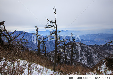 Snowy mountain trail, snow scene, snow flowers on a snowy day ... ^. ^ Snowy mountain trail, snow scene, snow flowers on a snowy day ... ^. ^ 63592834