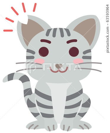 絕育和耳朵割傷的本地貓男孩 63593964