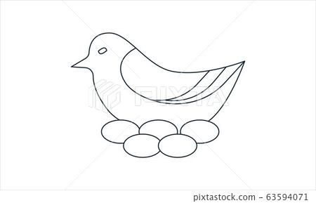 bird, dove, animal 63594071
