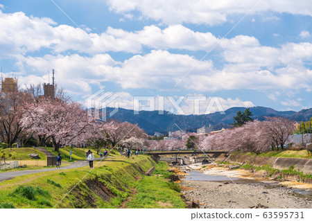Tokyo, Minami Asakawa, Somei Yoshino, Spring Sky 63595731