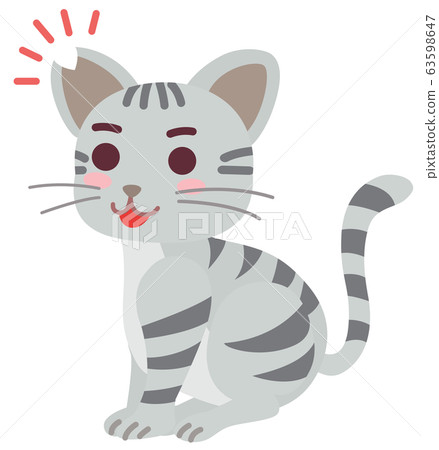 絕育和耳朵割傷的本地貓男孩 63598647