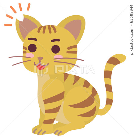 Local cat boy with castration surgery and ear cut 63598944