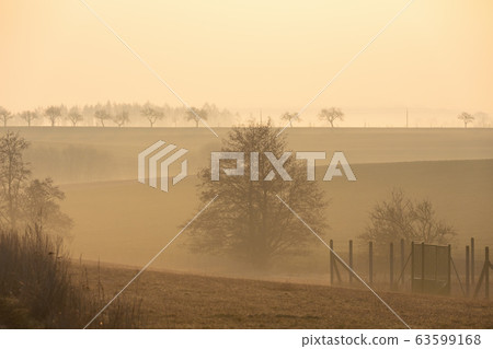 Spring foggy and misty sunrise landscape 63599168