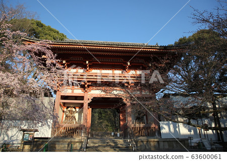 Daigoji Daigoji 63600061