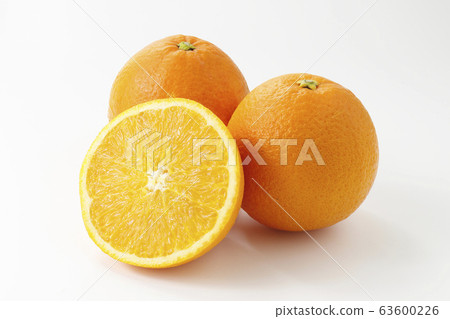 臍橙 63600226