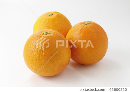 Navel Orange Navel Orange 63600230