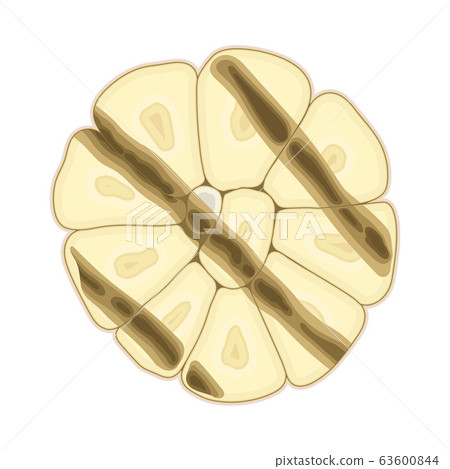 Grilled Garlic with Strips Isolated on White Background Vector Illustration Grilled Garlic with Strips Isolated on White Background Vector Illustration 63600844