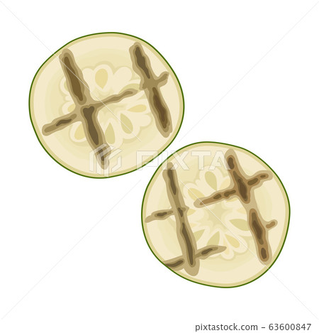 Grilled Sliced Cucumber with Strips Isolated on White Background Vector Illustration Grilled Sliced Cucumber with Strips Isolated on White Background Vector Illustration 63600847