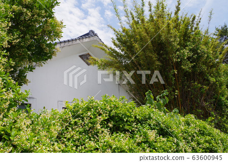 gi私人住宅周圍樹木的景色 gi私人住宅周圍樹木的景色 63600945