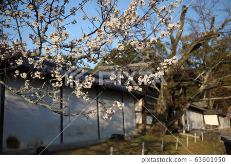 醍醐寺 63601950