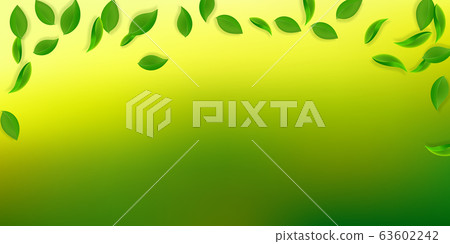 Falling green leaves. Fresh tea neat leaves flying 63602242