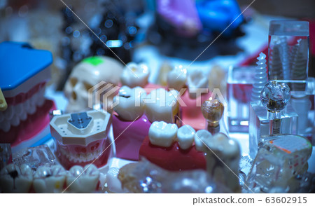Dentures, a model of the teeth, jaw model for Dentures, a model of the teeth, jaw model for 63602915