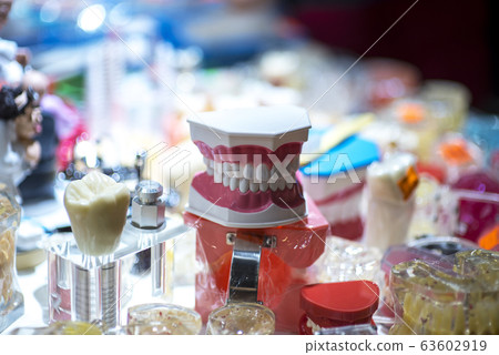 Dentures, a model of the teeth, jaw model for Dentures, a model of the teeth, jaw model for 63602919