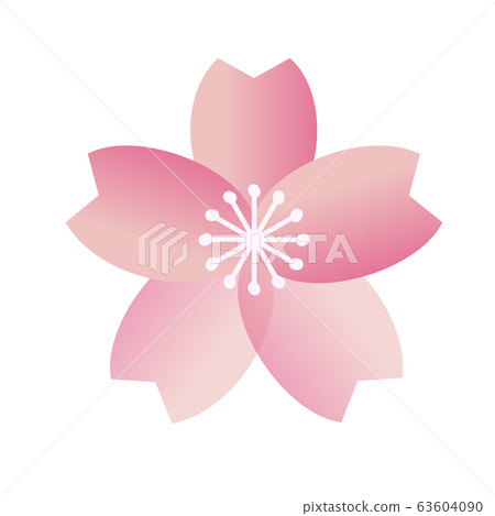 Cherry blossom Cherry blossom 63604090