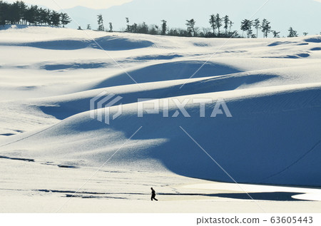 Snow scenery of Tottori sand dunes Snow scenery of Tottori sand dunes 63605443