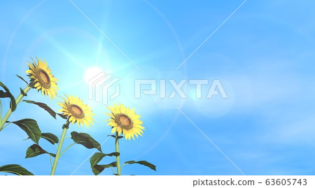 Sunflower, sky, sun 63605743