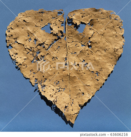 It is dry damaged leaf for pattern. It is dry damaged leaf for pattern. 63606216