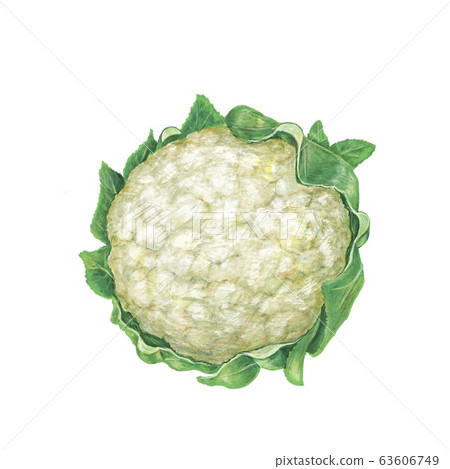 cauliflower  63606749