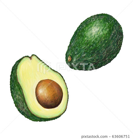 Avocado Avocado 63606751
