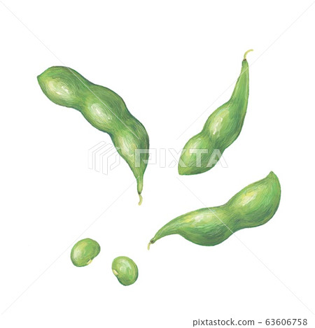 毛豆 毛豆 63606758