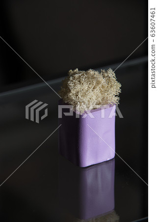 white moss in a violet concrete pot 63607461