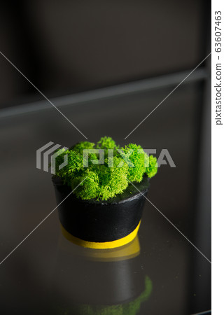 moss in black and yellow concrete candle holders 63607463