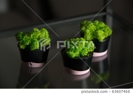 moss in black and pink concrete pot 63607468