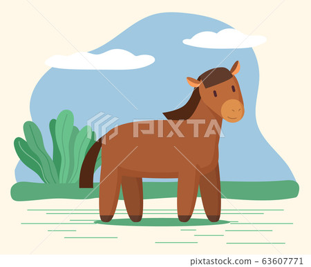 Horse or Stallion, Domestic Animal Stand on Meadow Horse or Stallion, Domestic Animal Stand on Meadow 63607771