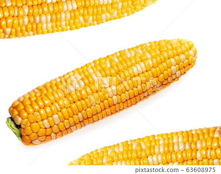 Fresh raw corn cobs isolated Fresh raw corn cobs isolated 63608975