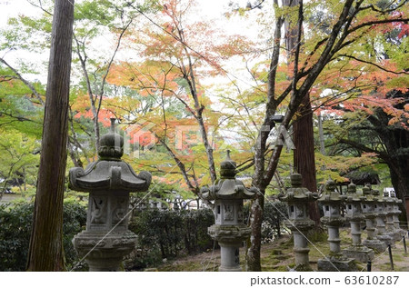 Budoji Temple 63610287