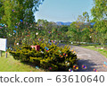 Garden soap bubbles 63610640