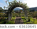 Garden Flower Garden 63610645