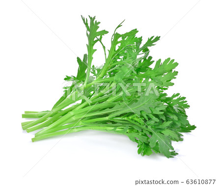 Chrysanthemum coronarium Isolated on white background. Chrysanthemum coronarium Isolated on white background. 63610877