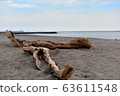 Driftwood sandy beach 63611548