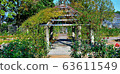 Garden Flower Garden Building 63611549