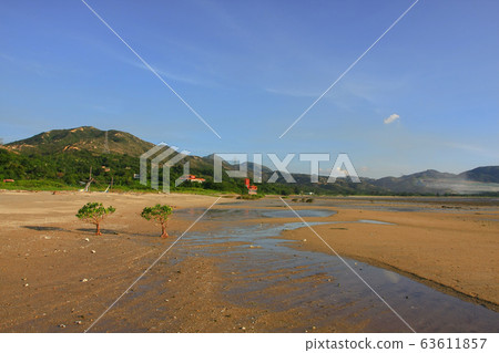 21 June 2008 the coast at Ha Pak Nai, Yuen Long 63611857