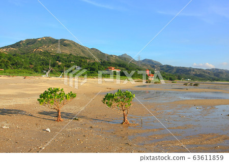 21 June 2008 the coast at Ha Pak Nai, Yuen Long 21 June 2008 the coast at Ha Pak Nai, Yuen Long 63611859