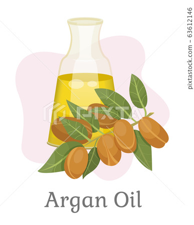Hair Treatment with Liquid of Argan Oil Vector Hair Treatment with Liquid of Argan Oil Vector 63612146