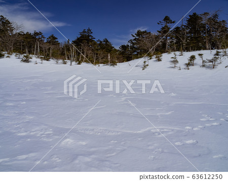 [Nagano Prefecture] _Kitayokodake_Nanatsuike_02 63612250
