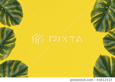 Summer background 63612513