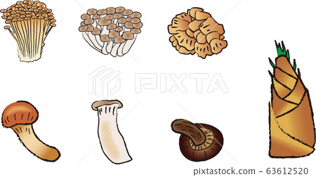 Various mushrooms Various mushrooms 63612520