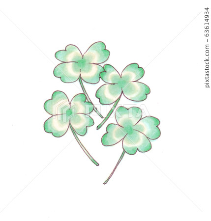手繪插圖:三葉草 手繪插圖:三葉草 63614934