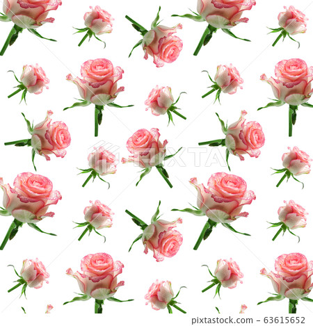 Wallpaper seamless pink flower pattern on white 63615652