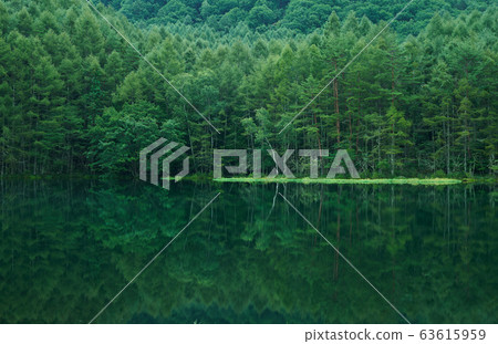 Shrine pond 63615959