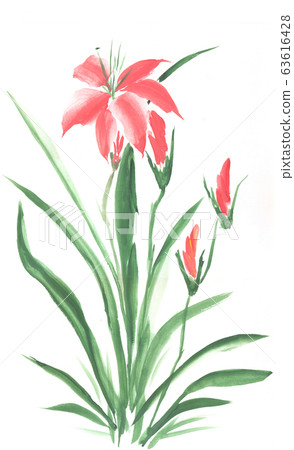 Beautiful orange lily flower bouquet isolated on 63616428