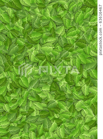 Flying green leaves on white background. Spring leaf vertical pattern on isolated backdrop. Fall fresh leaves plant. Vector illustration 63616467