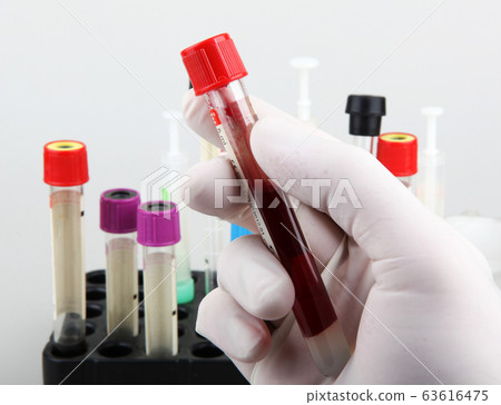 Burgas, Bulgaria - February 03, 2013 63616475