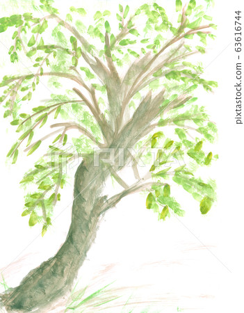 mighty old tree with green spring leaves 63616744